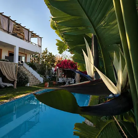 Rafaella Exclusive Private Complex Villa *